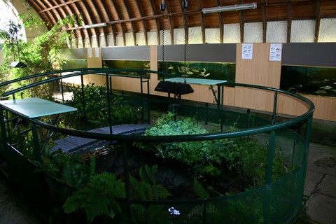 vue générale