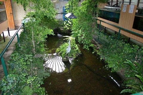 vue du bassin